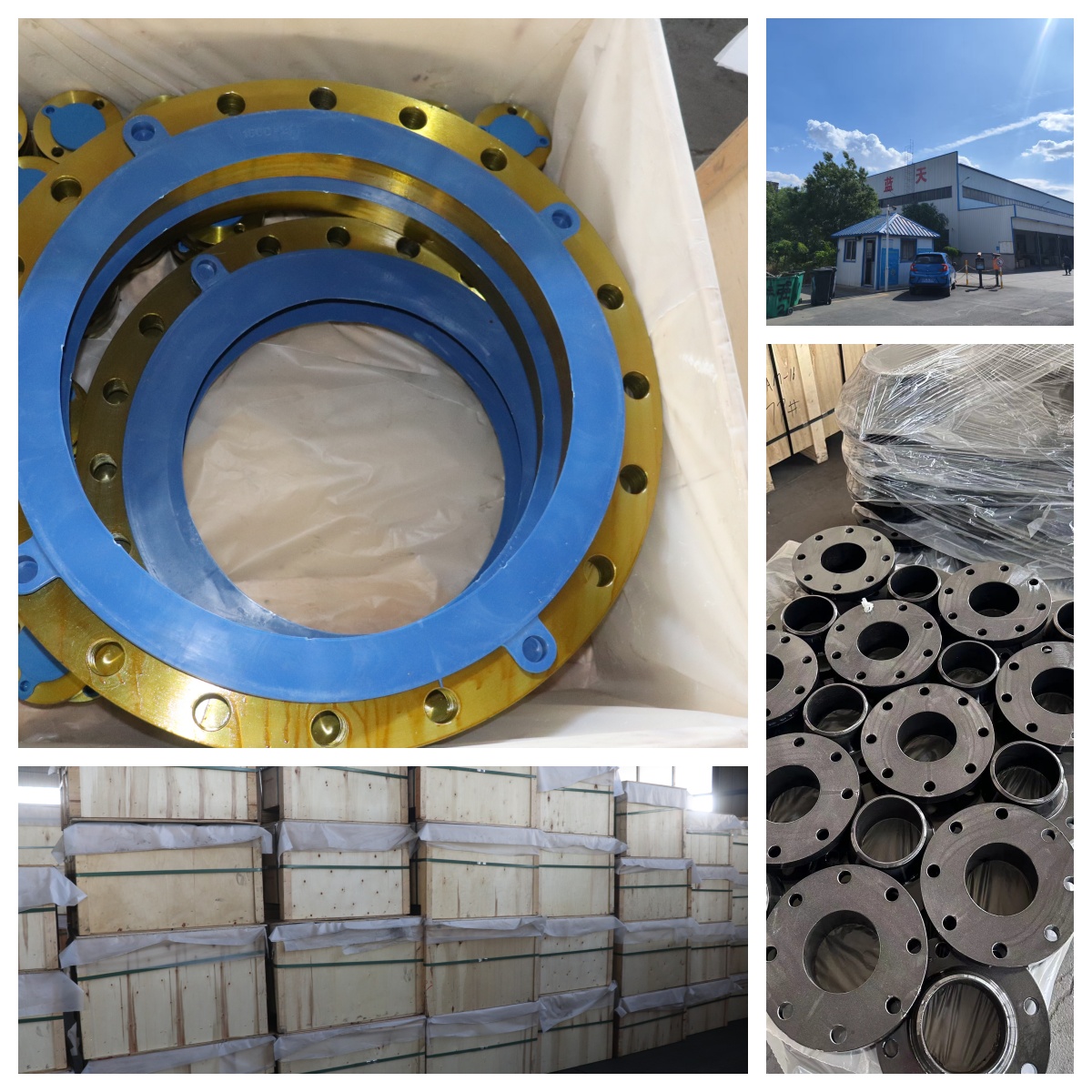 316 flanges