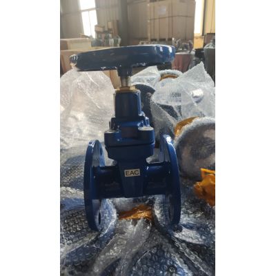  (ANSI) Cast iron Flanged Gate Valve