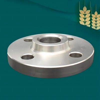 ASME B16.5 slip on flange SO RF 2