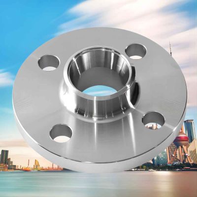 Forged ASME B16.5 ANSI 300 Stainless Steel WN Flange
