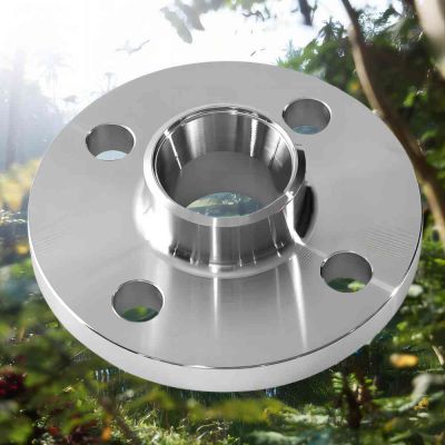 ANSI B16.5 Stainless Steel 304 316 304L 316L Welding Neck Flange