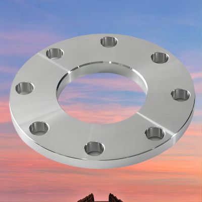 Manufacturer sells 304/304L/316/316L stainless steel forged welding PL flange
