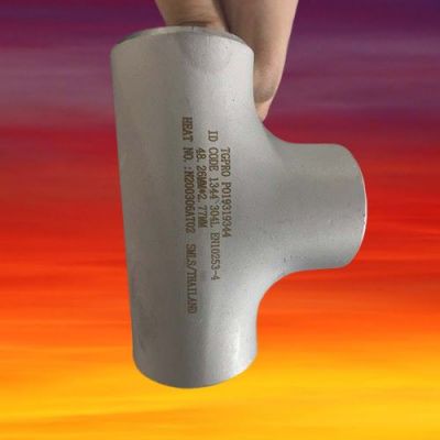 ASTM A403 Wp304 Stainless Steel Pipe Fittings Reducing Tee 