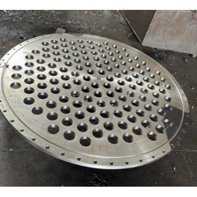 Tube sheet manufacturer from China tube sheet